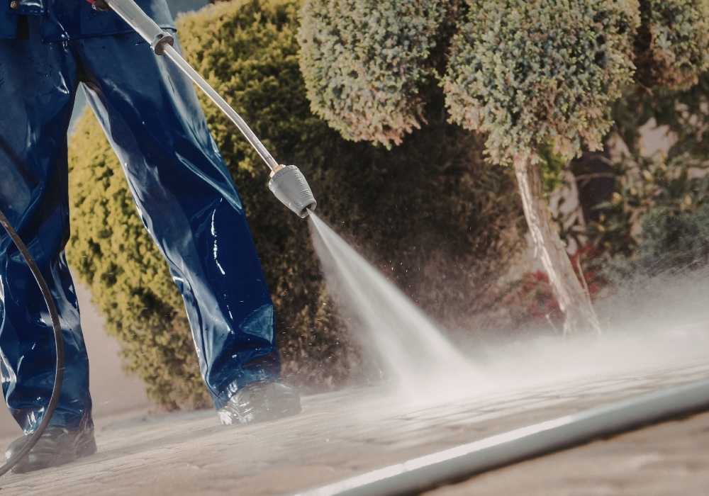 how to remove mould from driveway